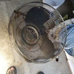 Fan