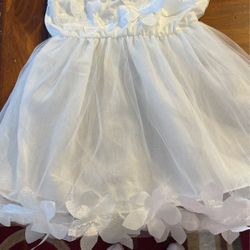 Girls. White Dress Size 2, Sleeveless, Nwt On Too With Sheer Flowers On Chest, Buttons In Back. Bottom Is Sheer Net With Sheer Net Lining As Well As 