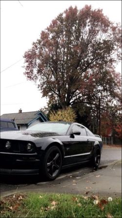 2005 Mustang GT LOW MILES !!! CLEAN TITLE