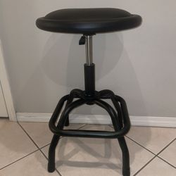 Padded Adjustable Stool