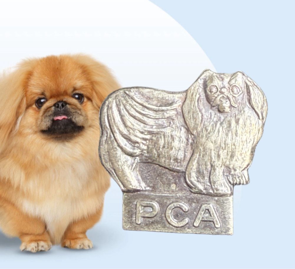 Vintage 1950s Sterling Silver PCA Pekingese Dog Brooch, 1x1”