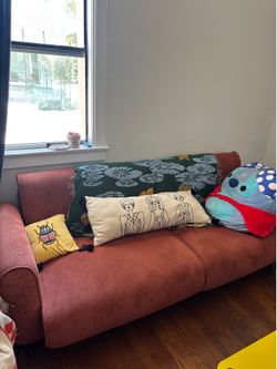 Burnt Orange Couch