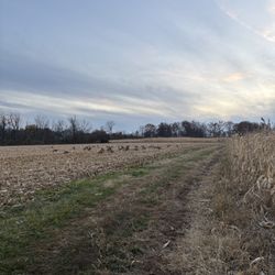 Waterfowl Hunting Accessories 