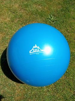 Exercise ball