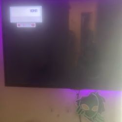 55” TV w/ MOUNT included