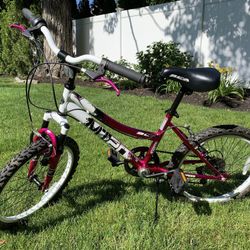 20” Girls Mountain Bike 