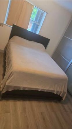 Queen Bed