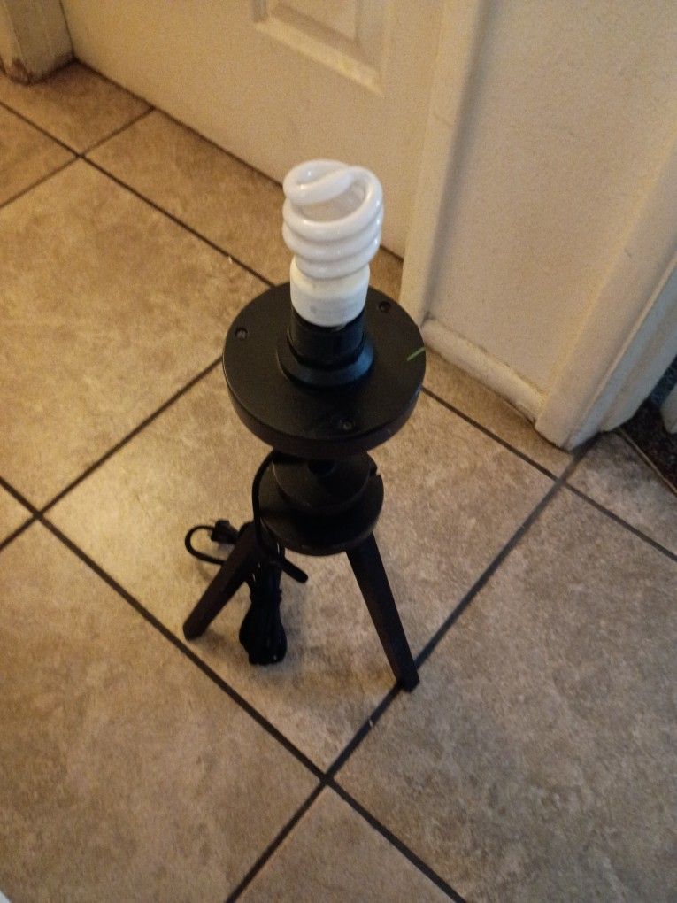 Desk Lamp