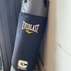 Punch bag Heavy Duty Everlast with pad 