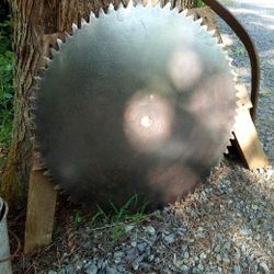 Vintage Large Saw Blade