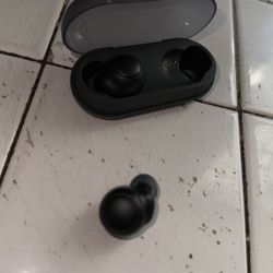 Sony Ear Buds