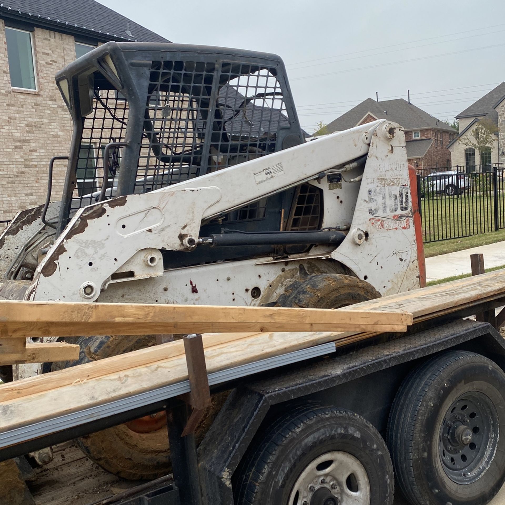 Bobcat