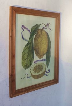 New Framed with Glass Large Print of Watercolor Painting of a Lemon