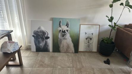 Picture frames