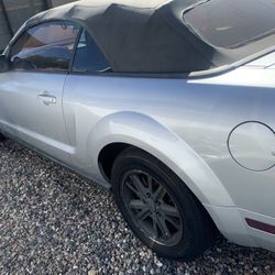 Mustang 