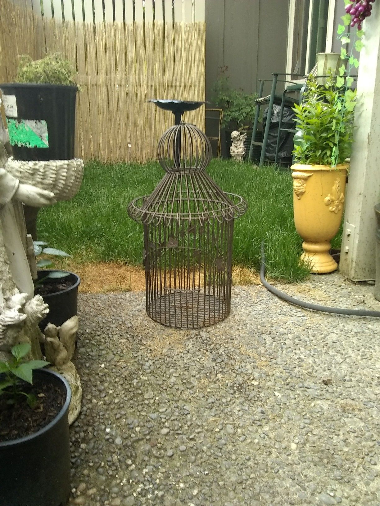 Metal birdcage