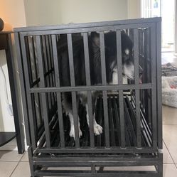 Large Dog Crate 