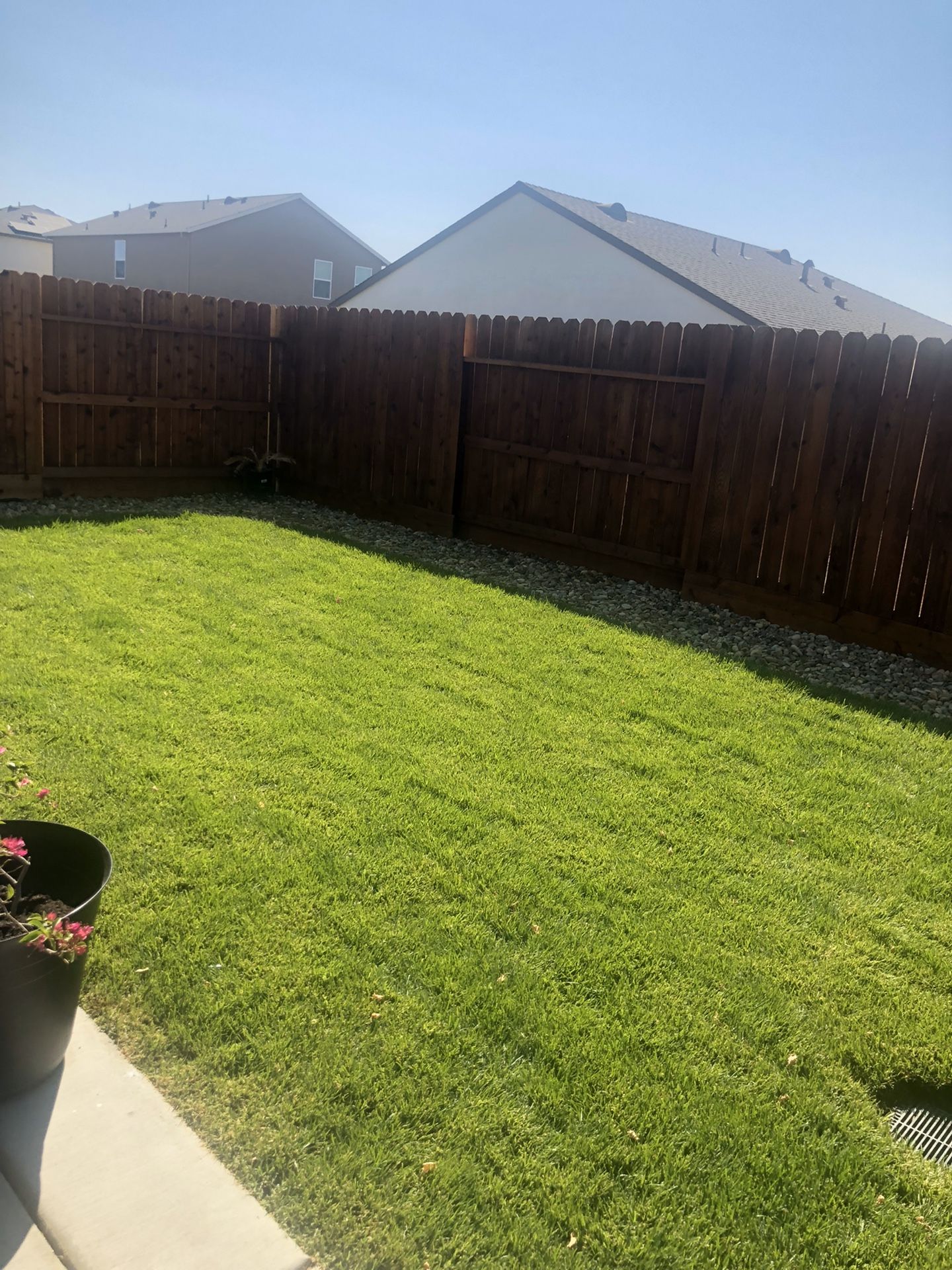 Clean and stain fences