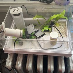 Baby Turtle Cage 