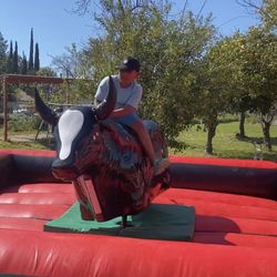 Mecanico Bull 