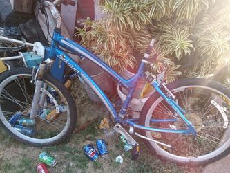 Schwinn Bicycles