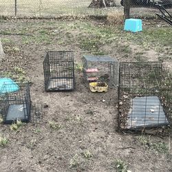 Dog cages used 30 dollars takes all of them