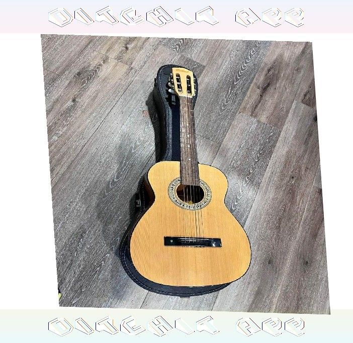 Acoustic Guitar Rich Music and Classic Expert Design operation data