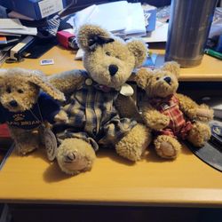 Boyds Bears Collection Stuffed Animals