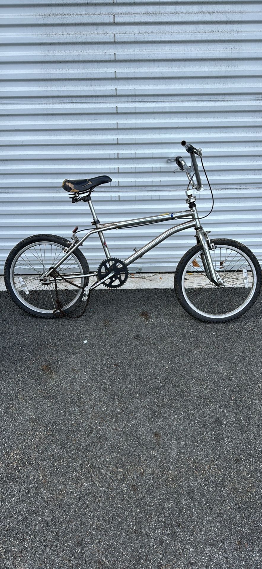 Vintage Chrome Bmx Bike Project