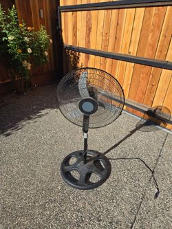 Fan