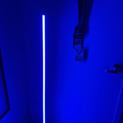 Govee RGB Floor Lamp