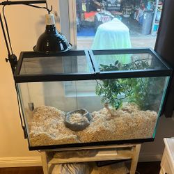 Large Reptile Glass 50 Gallon Clean Tank