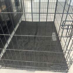 Dog Kennel With Kong Bed