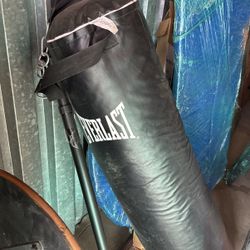 Punching Bag 