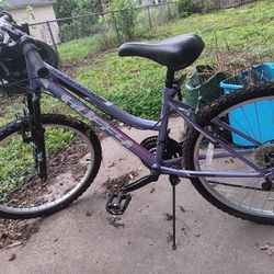 15 MILE RADIUS MEET FOR SERIOUS BUYER!!  24 Inch Lavender Purple Huffy