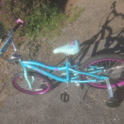SCHWINN DEELITE 20 INCH WHEELS GIRLS BIKE 
