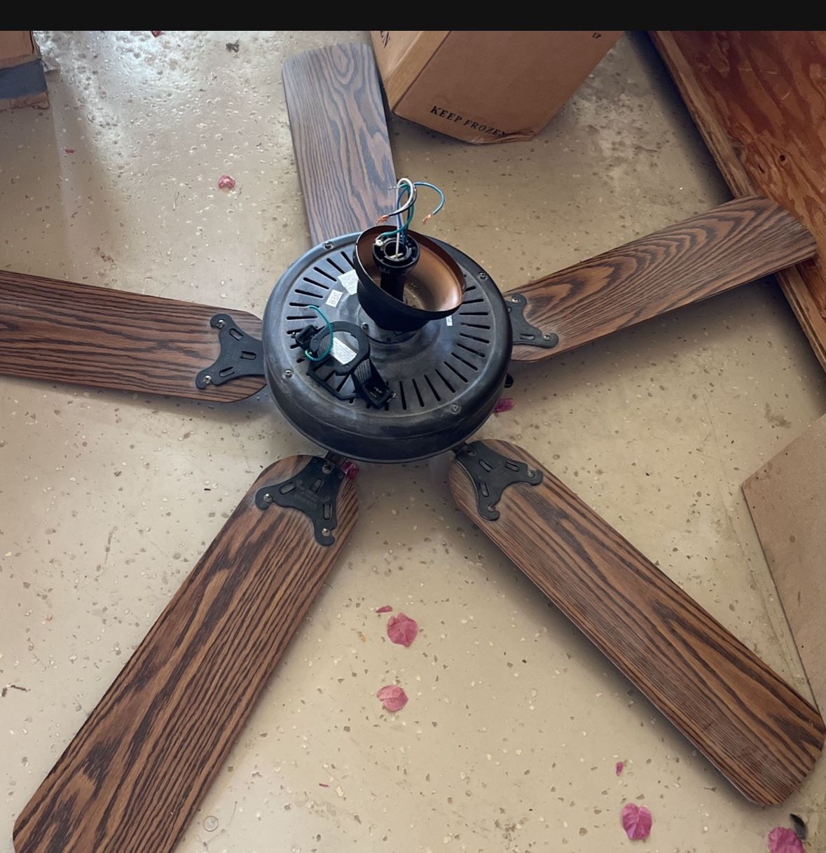 Ceiling Fan With Mount
