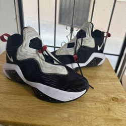 LeBron Soldier 14