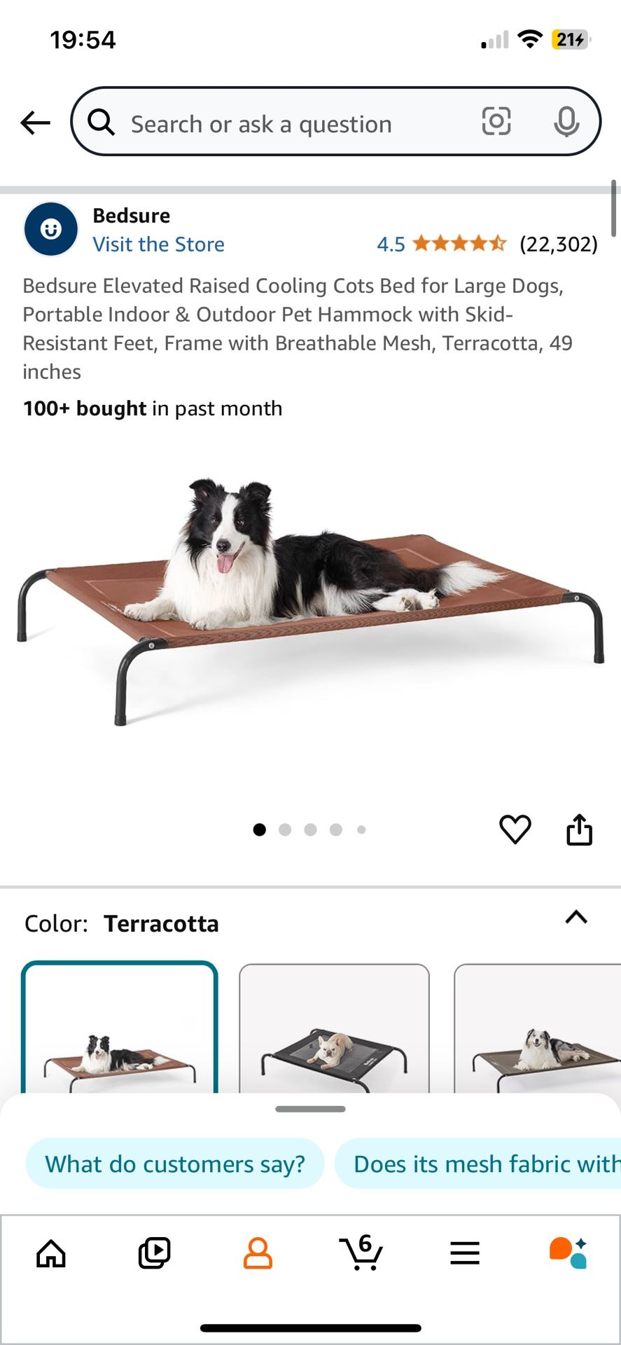 Brand New Dog Bed