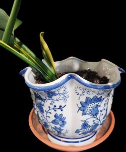 Plant Pot
