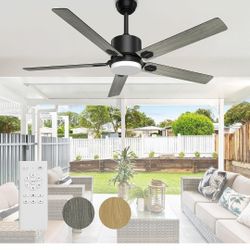 Fan
