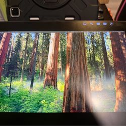 Wacom Cintiq Pro 13 (DTH-1320) *READ DESC*