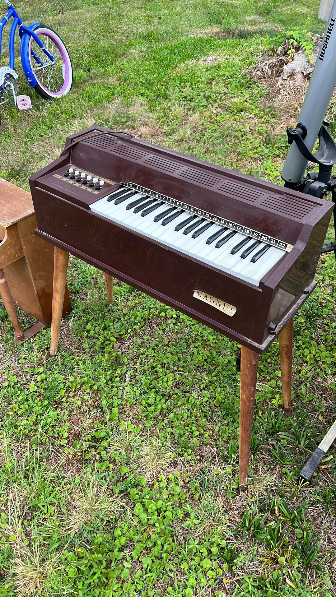 Magnus Electric chord organ