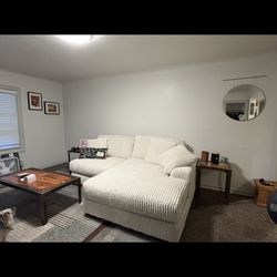 Newer Couch 4 Months Old 