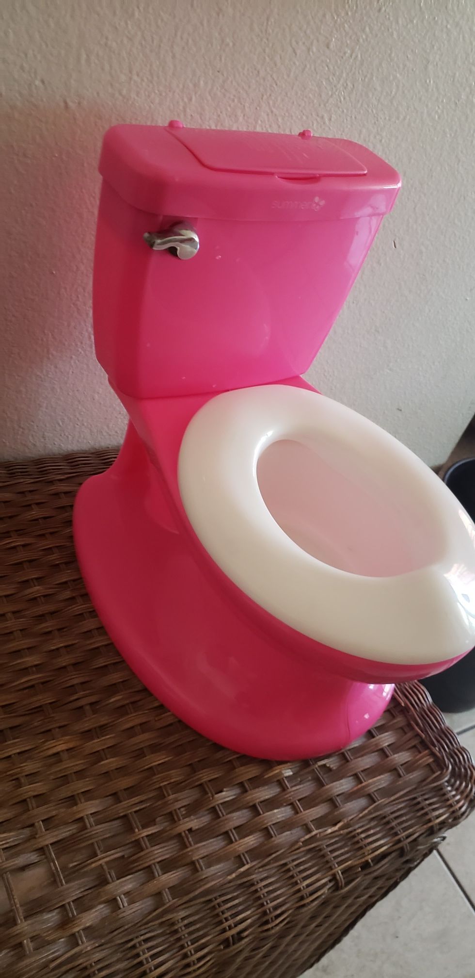 Toddler potty