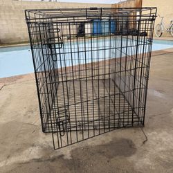 dog kennel 