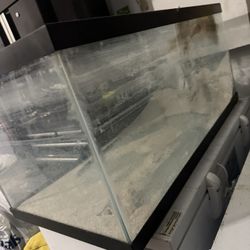 40 Gallon Breeder Tank