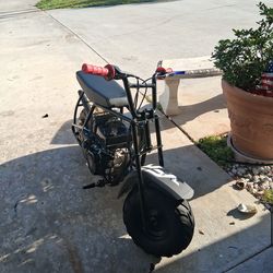 Mini bike week old