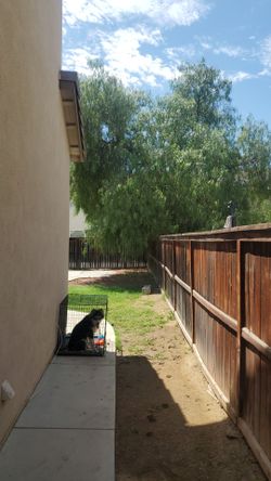 Trees 🌳 triming cut and ***& REMODEL**&ROFFING