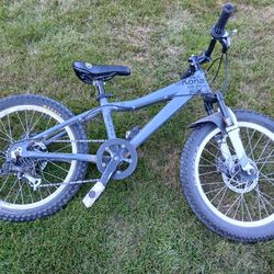 Kona Shred 2.0 Kids Mountain Bike for Sale in Maple Valley WA